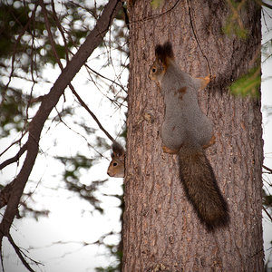 DSC_0027.jpg (4043 просмотра) <a class='original' href='./download/file.php?id=33915&mode=view' target=_blank>Загрузить оригинал (2.26 МБ)</a>