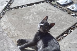 IMG_0378.jpg (3992 просмотра) <a class='original' href='./download/file.php?id=33931&mode=view' target=_blank>Загрузить оригинал (552.44 КБ)</a>