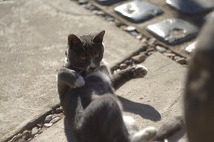 IMG_0371.jpg (3992 просмотра) <a class='original' href='./download/file.php?id=33932&mode=view' target=_blank>Загрузить оригинал (446.83 КБ)</a>