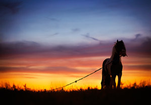 11822607715_d0c439b143_o.jpg (3957 просмотров) <a class='original' href='./download/file.php?id=34187&mode=view' target=_blank>Загрузить оригинал (105.62 КБ)</a>