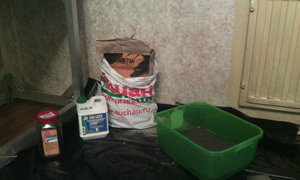 IMAGE00000.jpg (7159 просмотров) <a class='original' href='./download/file.php?id=34190&mode=view' target=_blank>Загрузить оригинал (4.32 МБ)</a>