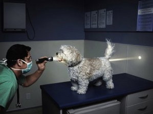 image.jpg (2895 просмотров) <a class='original' href='./download/file.php?id=34656&mode=view' target=_blank>Загрузить оригинал (50.97 КБ)</a>