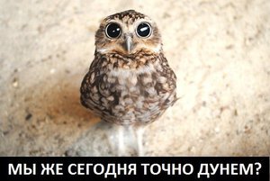 d1-J8AbGv3M.jpg (1871 просмотр) <a class='original' href='./download/file.php?id=35148&mode=view' target=_blank>Загрузить оригинал (38.52 КБ)</a>