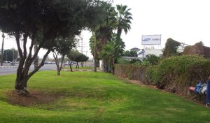 20141018_160603.jpg (2660 просмотров) <a class='original' href='./download/file.php?id=35212&mode=view' target=_blank>Загрузить оригинал (135.42 КБ)</a>