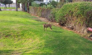 20141018_160642.jpg (2660 просмотров) <a class='original' href='./download/file.php?id=35214&mode=view' target=_blank>Загрузить оригинал (238.89 КБ)</a>