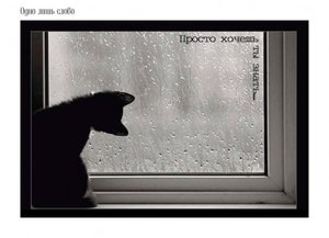 364123_29a419ea.jpg (2686 просмотров) <a class='original' href='./download/file.php?id=35255&mode=view' target=_blank>Загрузить оригинал (31.68 КБ)</a>