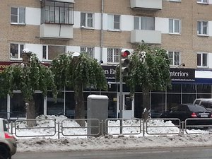 пальмы.jpg (2207 просмотров) <a class='original' href='./download/file.php?id=35282&mode=view' target=_blank>Загрузить оригинал (565.02 КБ)</a>