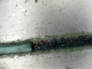 Опыт 1.jpg (13673 просмотра) <a class='original' href='./download/file.php?id=3540&mode=view' target=_blank>Загрузить оригинал (187.08 КБ)</a>