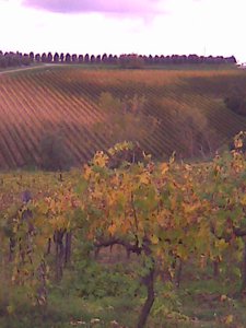 image.jpg (3502 просмотра) <a class='original' href='./download/file.php?id=35980&mode=view' target=_blank>Загрузить оригинал (67.59 КБ)</a>