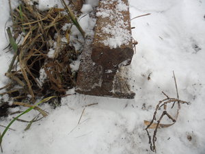 SAM_0450.JPG (2419 просмотров) <a class='original' href='./download/file.php?id=36270&mode=view' target=_blank>Загрузить оригинал (2.75 МБ)</a>