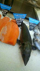 DSC_1090~2.jpg (2067 просмотров) <a class='original' href='./download/file.php?id=37376&mode=view' target=_blank>Загрузить оригинал (1.29 МБ)</a>