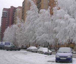 DSCN6259.jpg (4397 просмотров) <a class='original' href='./download/file.php?id=38064&mode=view' target=_blank>Загрузить оригинал (207.27 КБ)</a>