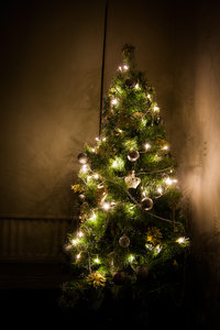 IMG_4472.jpg (3554 просмотра) <a class='original' href='./download/file.php?id=38284&mode=view' target=_blank>Загрузить оригинал (3.76 МБ)</a>