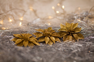 IMG_4363.jpg (3554 просмотра) <a class='original' href='./download/file.php?id=38287&mode=view' target=_blank>Загрузить оригинал (546.26 КБ)</a>