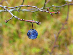 153.jpg (3531 просмотр) <a class='original' href='./download/file.php?id=38307&mode=view' target=_blank>Загрузить оригинал (261.58 КБ)</a>