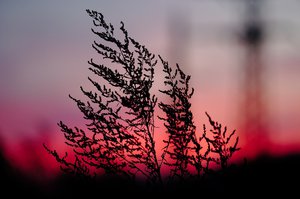 CRW_6242.jpg (3317 просмотров) <a class='original' href='./download/file.php?id=38341&mode=view' target=_blank>Загрузить оригинал (213.42 КБ)</a>