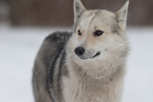 CRW_6406.jpg (3317 просмотров) <a class='original' href='./download/file.php?id=38346&mode=view' target=_blank>Загрузить оригинал (145.09 КБ)</a>