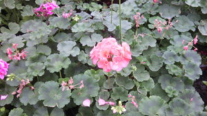 IMG_20140423_144916.jpg (3296 просмотров) <a class='original' href='./download/file.php?id=38355&mode=view' target=_blank>Загрузить оригинал (934.85 КБ)</a>