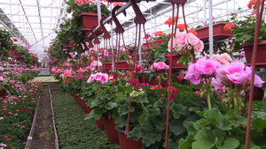 IMG_20140423_144926.jpg (3296 просмотров) <a class='original' href='./download/file.php?id=38356&mode=view' target=_blank>Загрузить оригинал (1.14 МБ)</a>