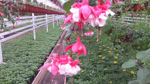 IMG_20140423_145001.jpg (3296 просмотров) <a class='original' href='./download/file.php?id=38358&mode=view' target=_blank>Загрузить оригинал (1.37 МБ)</a>