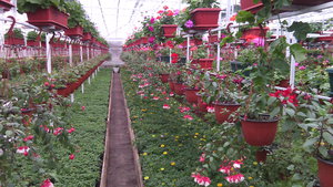 IMG_20140423_145007.jpg (3296 просмотров) <a class='original' href='./download/file.php?id=38359&mode=view' target=_blank>Загрузить оригинал (1.31 МБ)</a>