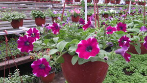 IMG_20140423_145145.jpg (3296 просмотров) <a class='original' href='./download/file.php?id=38363&mode=view' target=_blank>Загрузить оригинал (1.07 МБ)</a>