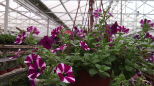 IMG_20140423_145154.jpg (3296 просмотров) <a class='original' href='./download/file.php?id=38364&mode=view' target=_blank>Загрузить оригинал (677.52 КБ)</a>