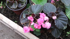 IMG_20140423_145206.jpg (3296 просмотров) <a class='original' href='./download/file.php?id=38365&mode=view' target=_blank>Загрузить оригинал (935.39 КБ)</a>