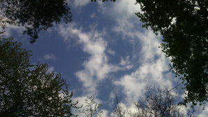 Небо (3296 просмотров) <a class='original' href='./download/file.php?id=38367&mode=view' target=_blank>Загрузить оригинал (923.53 КБ)</a>