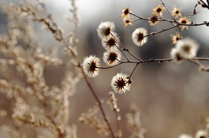 CRW_6203.jpg (3285 просмотров) <a class='original' href='./download/file.php?id=38369&mode=view' target=_blank>Загрузить оригинал (183.64 КБ)</a>