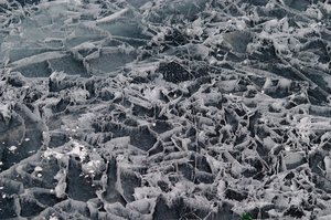 CRW_6220.jpg (3285 просмотров) <a class='original' href='./download/file.php?id=38370&mode=view' target=_blank>Загрузить оригинал (487.41 КБ)</a>