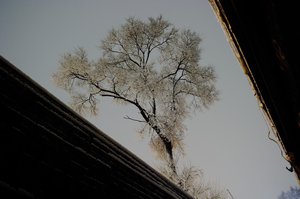 CRW_6338.jpg (3285 просмотров) <a class='original' href='./download/file.php?id=38371&mode=view' target=_blank>Загрузить оригинал (219.07 КБ)</a>