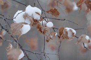 CRW_6443.jpg (3285 просмотров) <a class='original' href='./download/file.php?id=38372&mode=view' target=_blank>Загрузить оригинал (170.73 КБ)</a>