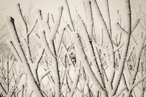 IMG_7642.jpg (3285 просмотров) <a class='original' href='./download/file.php?id=38373&mode=view' target=_blank>Загрузить оригинал (460.21 КБ)</a>