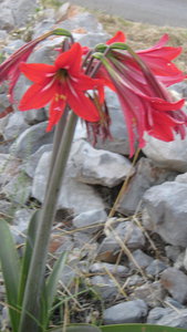 IMG_2378.jpg (3278 просмотров) <a class='original' href='./download/file.php?id=38374&mode=view' target=_blank>Загрузить оригинал (1.91 МБ)</a>