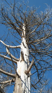 IMG_2383.jpg (3261 просмотр) <a class='original' href='./download/file.php?id=38384&mode=view' target=_blank>Загрузить оригинал (3.2 МБ)</a>