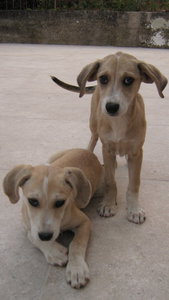 IMG_2422.jpg (3248 просмотров) <a class='original' href='./download/file.php?id=38388&mode=view' target=_blank>Загрузить оригинал (2.13 МБ)</a>