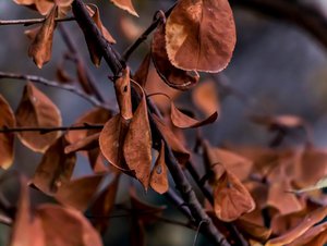 03-001.jpg (3240 просмотров) <a class='original' href='./download/file.php?id=38391&mode=view' target=_blank>Загрузить оригинал (54.72 КБ)</a>