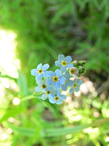 цг01.jpg (3223 просмотра) <a class='original' href='./download/file.php?id=38402&mode=view' target=_blank>Загрузить оригинал (61.95 КБ)</a>