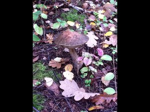 image.jpg (2578 просмотров) <a class='original' href='./download/file.php?id=38414&mode=view' target=_blank>Загрузить оригинал (234.95 КБ)</a>