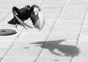 04-001.jpg (2550 просмотров) <a class='original' href='./download/file.php?id=38427&mode=view' target=_blank>Загрузить оригинал (123.34 КБ)</a>