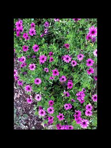 image.jpg (2492 просмотра) <a class='original' href='./download/file.php?id=38467&mode=view' target=_blank>Загрузить оригинал (273.32 КБ)</a>