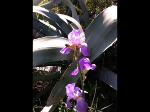 image.jpg (2492 просмотра) <a class='original' href='./download/file.php?id=38469&mode=view' target=_blank>Загрузить оригинал (152.67 КБ)</a>