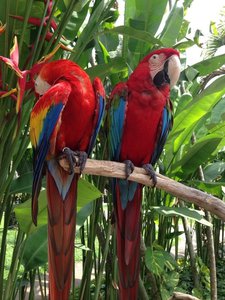 image.jpg (2488 просмотров) <a class='original' href='./download/file.php?id=38470&mode=view' target=_blank>Загрузить оригинал (268.58 КБ)</a>