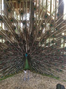 image.jpg (2488 просмотров) <a class='original' href='./download/file.php?id=38471&mode=view' target=_blank>Загрузить оригинал (368.61 КБ)</a>