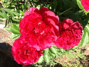 image.jpg (2110 просмотров) <a class='original' href='./download/file.php?id=38496&mode=view' target=_blank>Загрузить оригинал (296.57 КБ)</a>