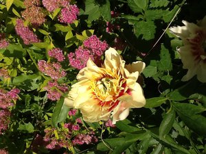 image.jpg (2110 просмотров) <a class='original' href='./download/file.php?id=38497&mode=view' target=_blank>Загрузить оригинал (280.79 КБ)</a>