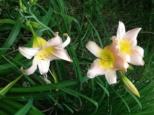 image.jpg (2110 просмотров) <a class='original' href='./download/file.php?id=38499&mode=view' target=_blank>Загрузить оригинал (250.03 КБ)</a>