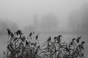 05-001.jpg (2058 просмотров) <a class='original' href='./download/file.php?id=38544&mode=view' target=_blank>Загрузить оригинал (127.04 КБ)</a>