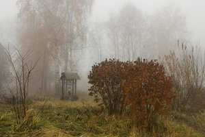 05-006.jpg (2058 просмотров) <a class='original' href='./download/file.php?id=38550&mode=view' target=_blank>Загрузить оригинал (456.55 КБ)</a>